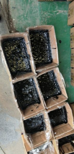 路面灌縫-裂縫修補工程,工藝及方法"圖片6.jpg"